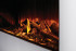 New Forest 1200 with Deluxe Real logs в Перми