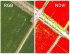 Квадрокоптер DJI Phantom 4 Multispectral + Мобильная станция D-RTK 2 High Precision GNSS в Перми