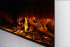 New Forest 1600 with Deluxe Real logs в Перми