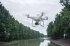 Сельскохозяйственный квадрокоптер DJI Phantom 4 мультиспектральный в Перми