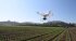 Сельскохозяйственный квадрокоптер DJI Phantom 4 мультиспектральный в Перми