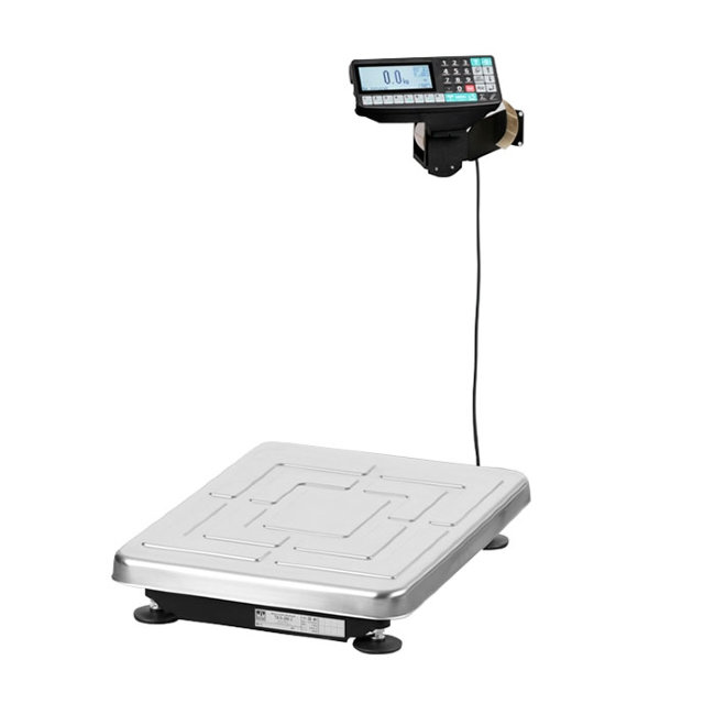 Весы ТВ-S-200.2-RP1 в Перми