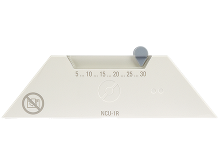NCU 1R в Перми
